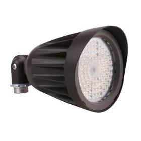 BOISE 2nd GEN | LED Landscaping Light | 13 Watt | 1820 Lumens | Adj CCT 30K/40K/50K | 120V-277V | Ground Stake Mount | Bronze Housing | IP65 | UL & DL