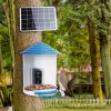 Smart Bird Feeder with Solar Powered Camera 1080P HD AI Identify PIR Motion Auto Capture Video Cloud Card Storage WiFi Connection App Control IP65 Wat