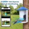 Smart Bird Feeder with Solar Powered Camera 1080P HD AI Identify PIR Motion Auto Capture Video Cloud Card Storage WiFi Connection App Control IP65 Wat