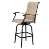 2pcs Wrought Iron Swivel Bar Chair Patio Swivel Bar Stools Black(without table)